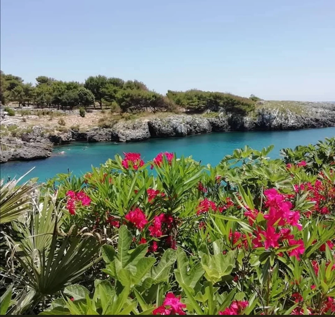 Costa ionica e macchia mediterranea